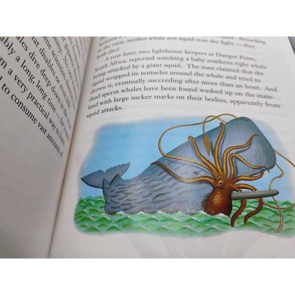 The Mysterious Giant Squid, Luka Berman, 2004, Paperback - Picture 5 of 6